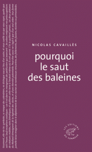 Pourquoi le saut des baleines de Nicolas Cavaillès aux éditions du Sonneur